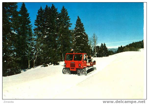 CARTE POSTALE DE ST-CERGUE - GIVRINE - LA DÔLE : LE CHAT DES NEIGES - Saint-Cergue