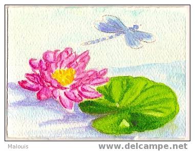 Small Painting. Aquarel, Water-colour, Aquarelle. Libelle, Dragonfly, Libellule. Waterlelie, Water Lily, Lis De L'eau - Zonder Classificatie