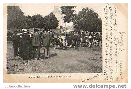 Quimper      29             Marchand De Vaches - Quimper