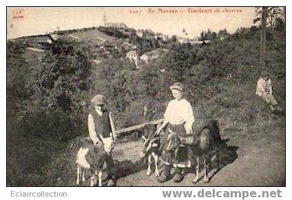 En Morvan:.  58    . Gardeurs ( Gardiens ) ...de Chèvres - Bourgogne