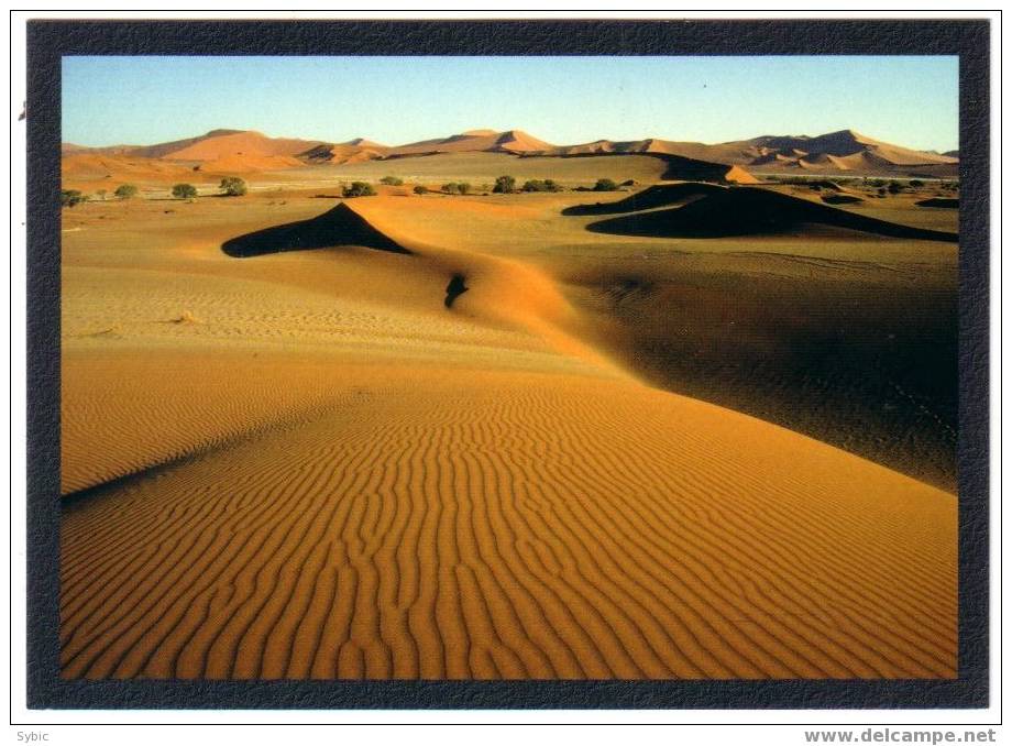 CPM - NAMIBIE - Dunes Of The Namib Desert - Dune Du Desert Namibien - Namibia
