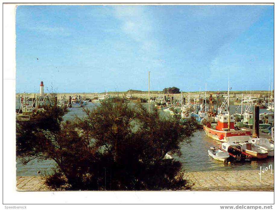 6353 Saint Pierre D'Oleron . La Cotiniere Le Port . 10.17.0178 Yvon . Bateau Peche Aphrodite - Ile D'Oléron