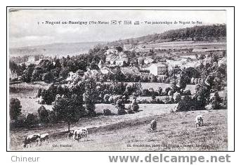 NOGENT EN BASSIGNY Vue Panoramique De Nogent Le Bas - Nogent-en-Bassigny