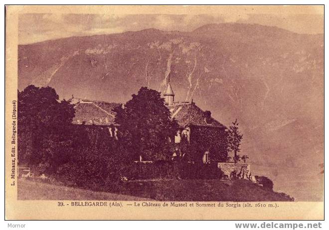 BELLEGARDE Le Château De Mussel Et Sommet Du Sorgia - Bellegarde-sur-Valserine