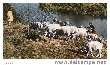 Jolie CP 23 Creuse Crozant Les Ruines Du Château - Animée Enfant Troupeau De Moutons - Neuve Ed CAP 1563 - Crozant