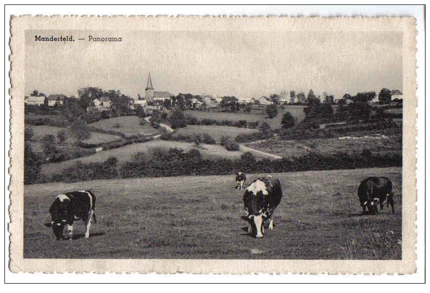 4898 - Manderfeld - Panorama - Bullange - Büllingen