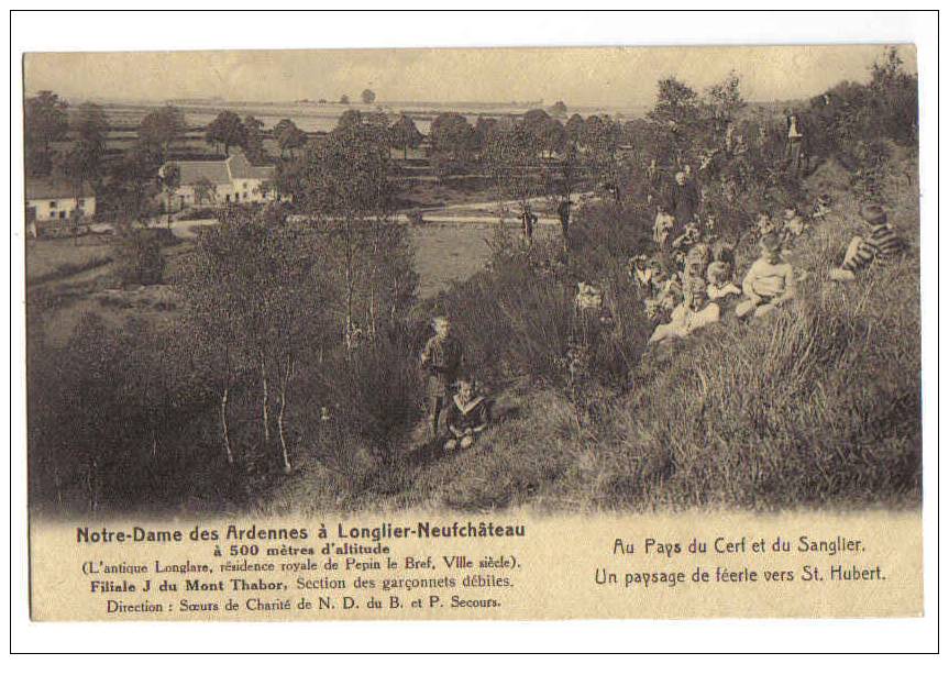 5016 - Notre-Dame Des Ardenne à Longlier-Neufchâteau - Un Paysage De Féérie Vers St-Hubert - Neufchâteau