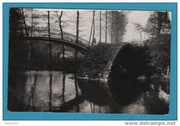 CP AIXE SUR VIENNE - PONT ROMAIN - Aixe Sur Vienne