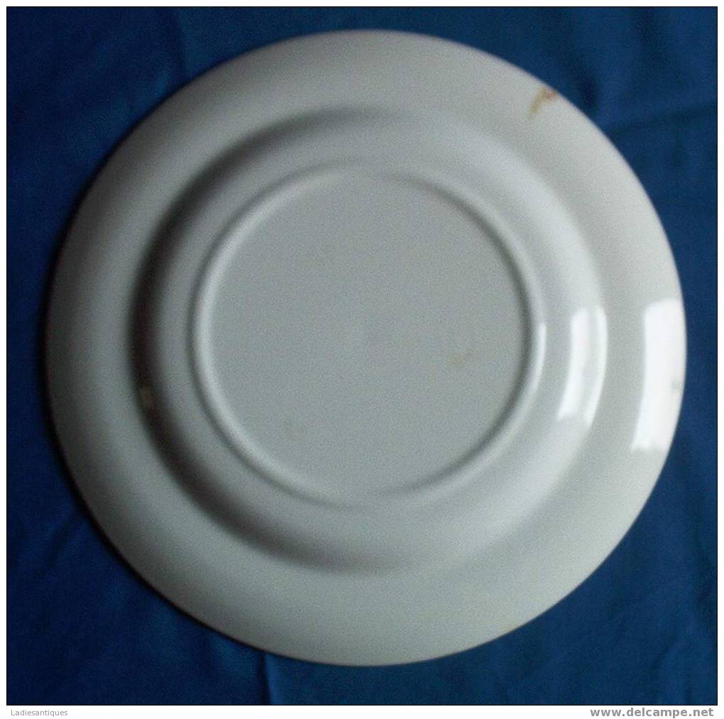 Assiette De L´Est - Bord - Plate - AS 1654 - Est (FRA)