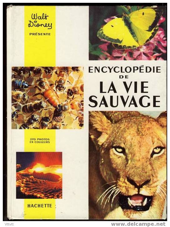 ENCYCLOPEDIE DE LA VIE SAUVAGE, Walt Disney, Edit. Hachette (1970) - Disney