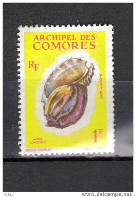 20  N.S.G COMORES (colonies) "COQUILLAGES"  THEMES - Muscheln