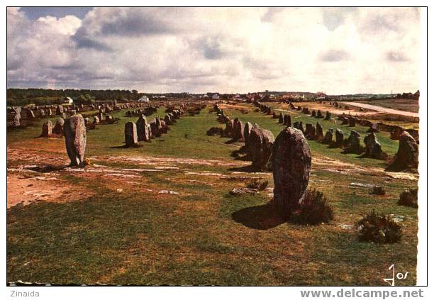 CARTE POSTALE DE MENHIRS - CARNAC - ALIGNEMENTS DU MENEC - Dolmen & Menhire