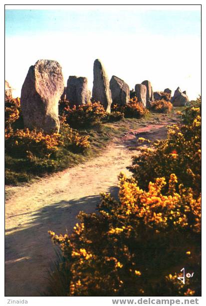 CARTE POSTALE DE MENHIRS - ALIGNEMENTS DE KERMARIO - CARNAC - Dolmen & Menhirs