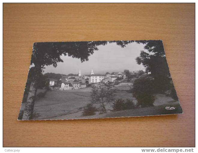 CPSM 43 MONTFAUCON DU VELAY Vue Générale - Montfaucon En Velay