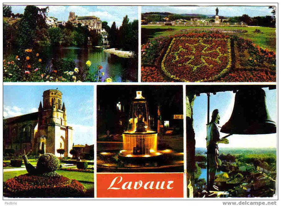 Carte Postale 81.  Lavaur  Les Bords De L'Agout - Lavaur