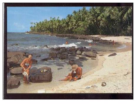 14995 île Du Salut Petite Plage à L' île St Joseph édit.delabergerie N°359 Belle Cpsm - Other & Unclassified