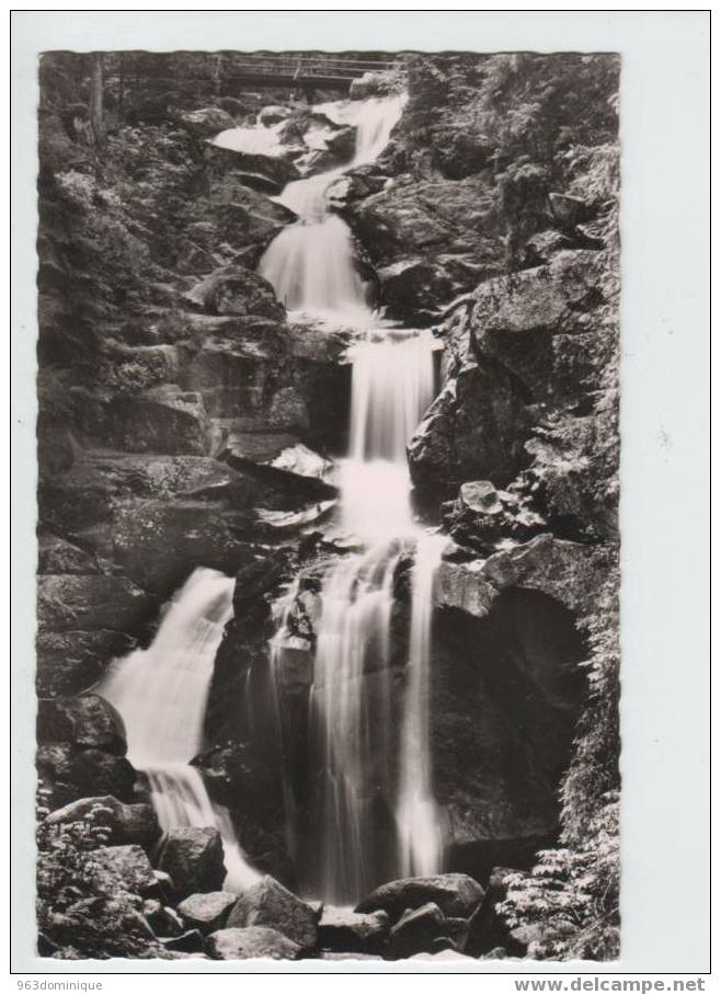 Die Triberger Wasserfälle - Triberg
