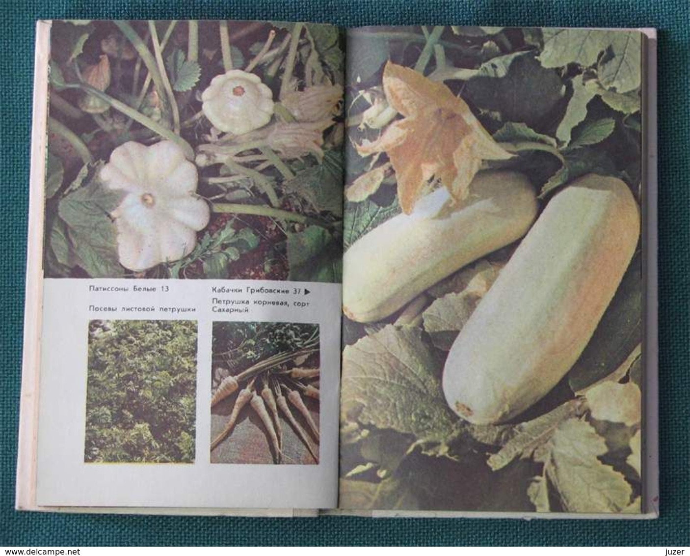 Russian Book: LAWN-and-GARDEN PLOT (1989) - Other & Unclassified