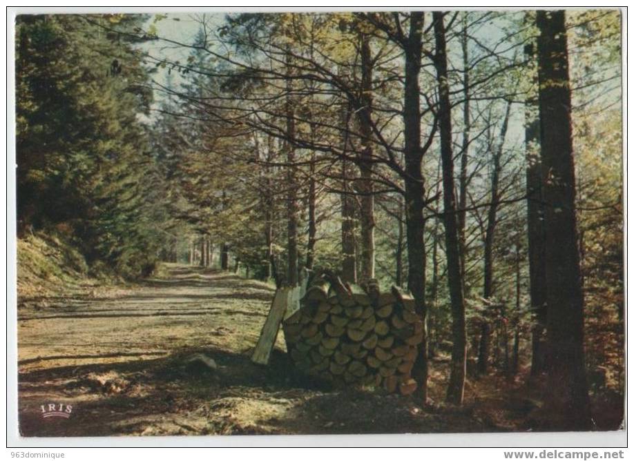 Ardennes Pittoresques - Gepost In Saint Hubert - Saint-Hubert