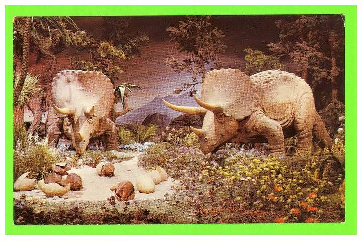 DISNEY - TRICERATOPS HOVER THEIR HATCHING YOUNG - - Disneyland