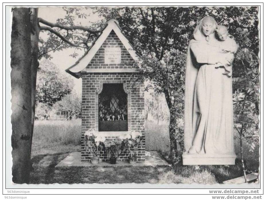 Zonnegem - Heiligdom : Kapel En Beeld Van OL Vrouw Van Zoeten Troost En Vrede (Sint Lievens Houtem) - Sint-Lievens-Houtem