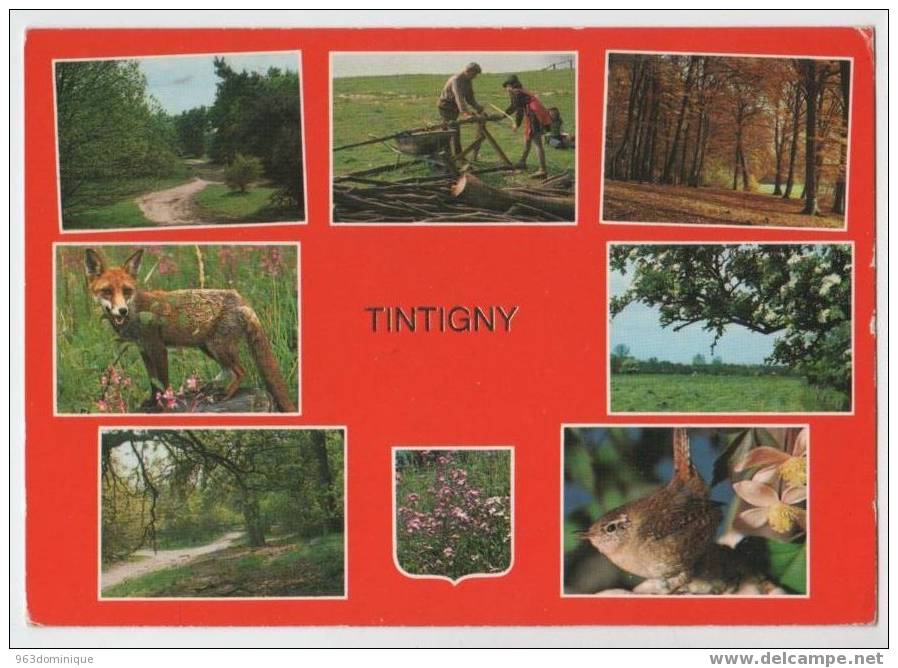 Tintigny - Tintigny