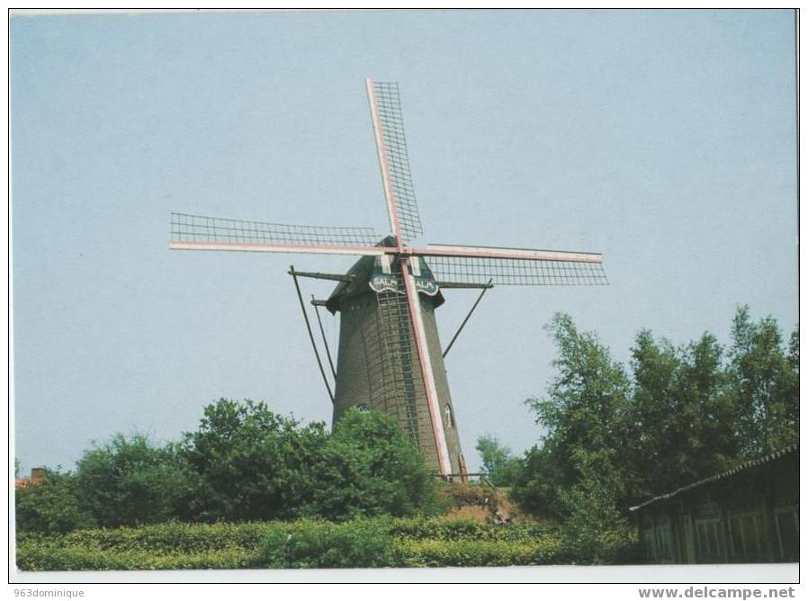 Stad Hoogstraten - Molen - Mill - Moulin - Mühle - Hoogstraten