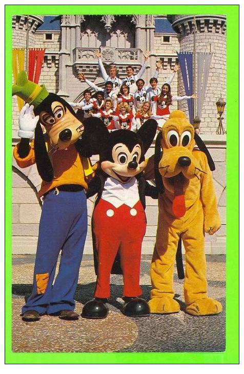 GOOFY, MICKEY AND PLUTO - - Disneyworld