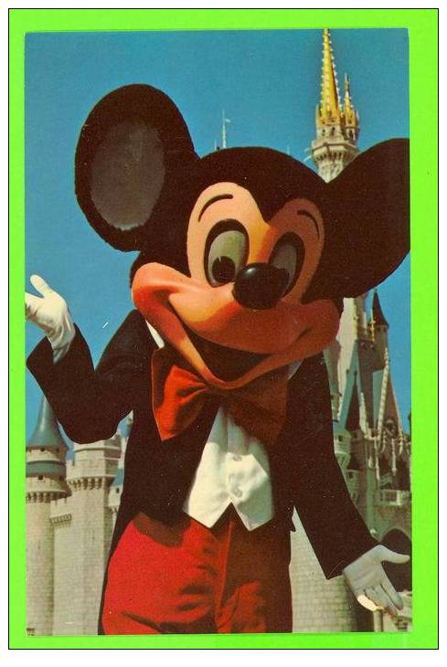 DISNEY - MICKEY MOUSE - WELCOME TO FANTASYLAND - - Disneyworld
