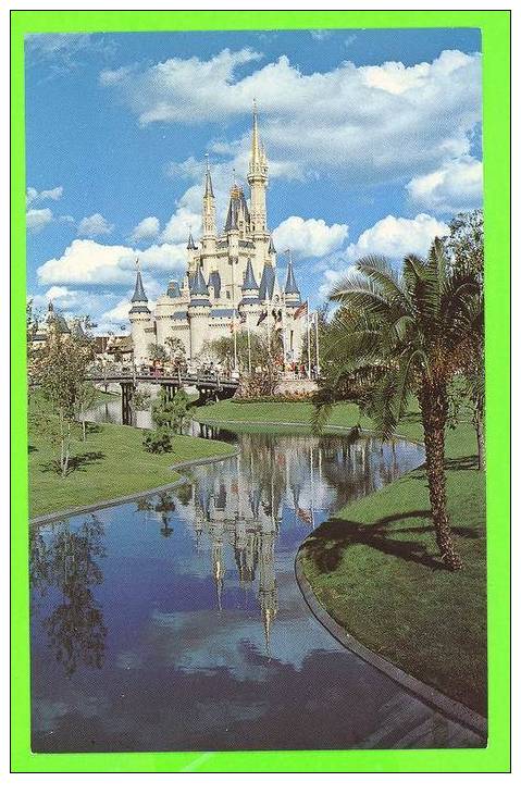 DISNEY - CINDERELLA CASTLE - - Disneyworld