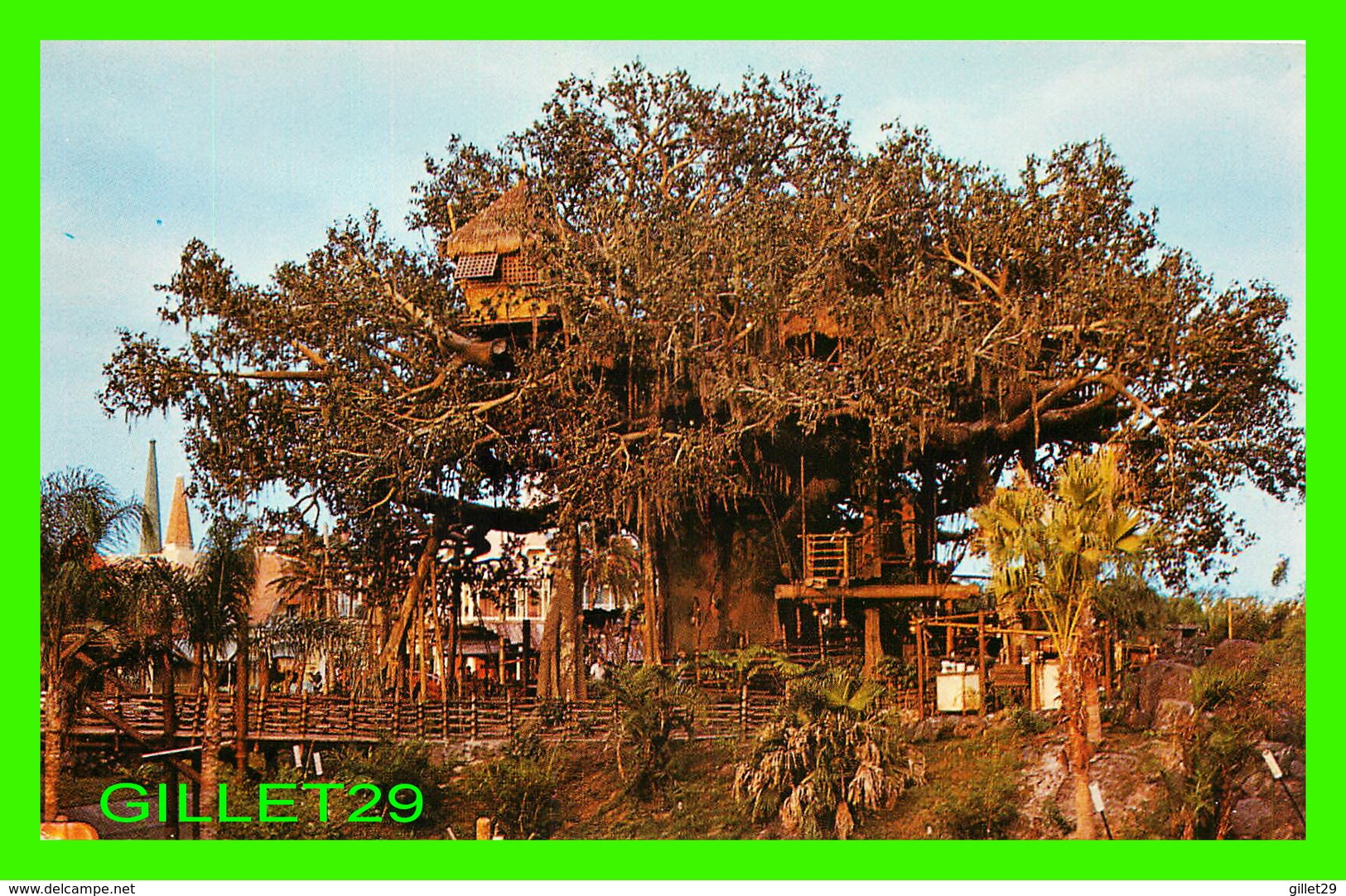 DISNEYWORLD - SWISS FAMILY ISLAND TREEHOUSE - - Disneyworld