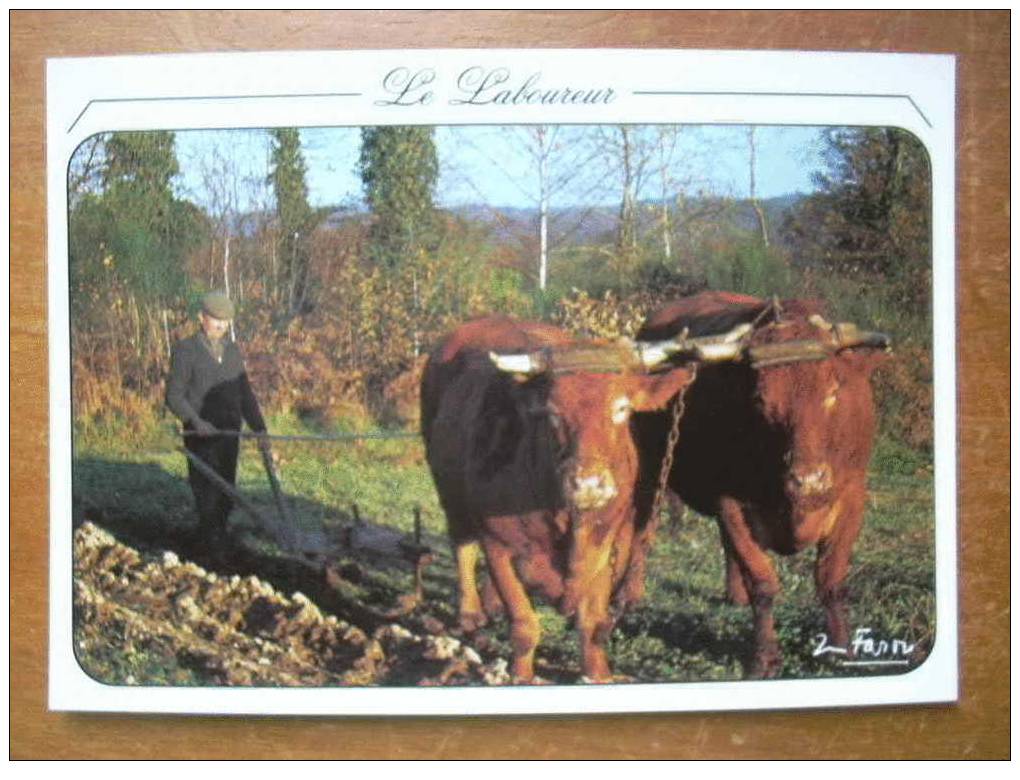 LE LABOUREUR - Landwirtschaftl. Anbau