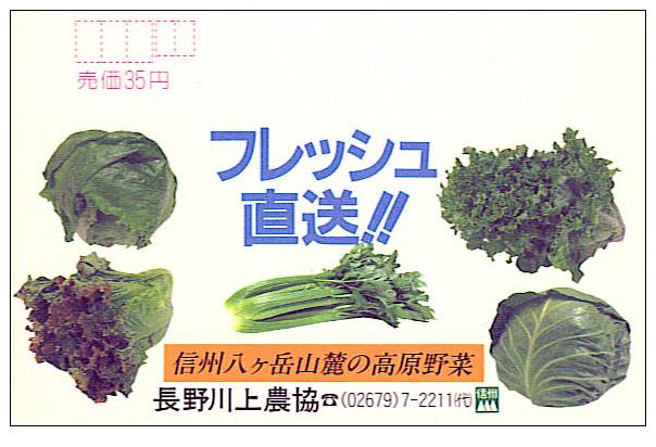 Japon : EP Echocard Legume Vert Chou Salade Celeri Celery Cabbage Green Vegetable Food Nourriture - Groenten