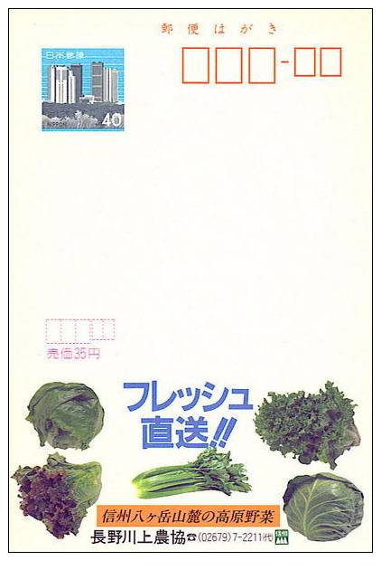 Japon : EP Echocard Legume Vert Chou Salade Celeri Celery Cabbage Green Vegetable Food Nourriture - Gemüse