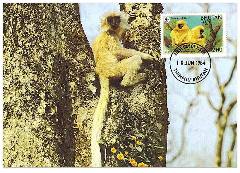 Bouthan : CM Carte Maximum Singe Primate Presbytis Geei Singe D'or Golden Langur Monkey Animal Danger WWF - Singes