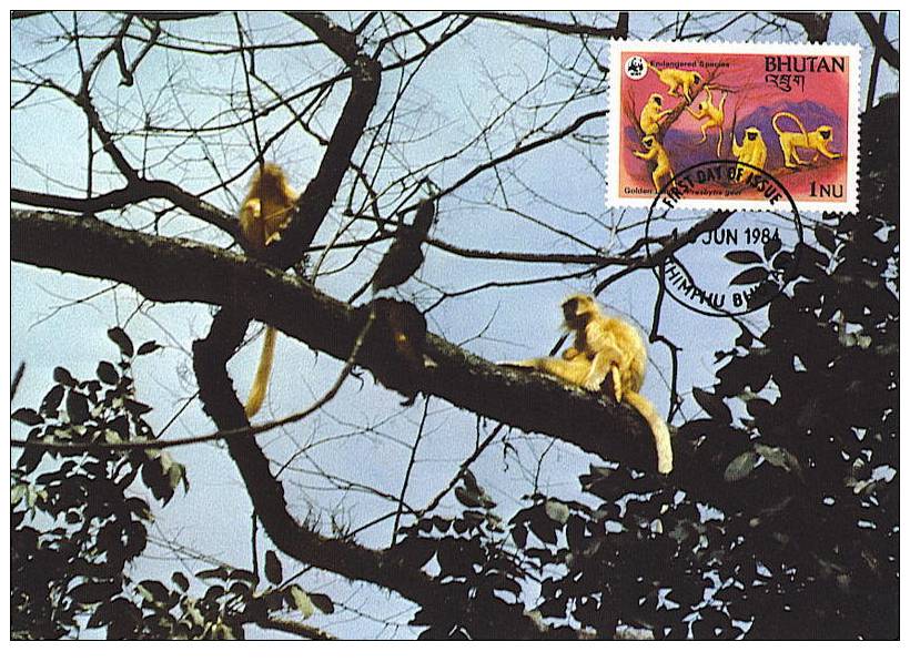 Bouthan : CM Carte Maximum Singe Primate Presbytis Geei Singe D'or Golden Langur Monkey Animal Danger WWF - Monkeys