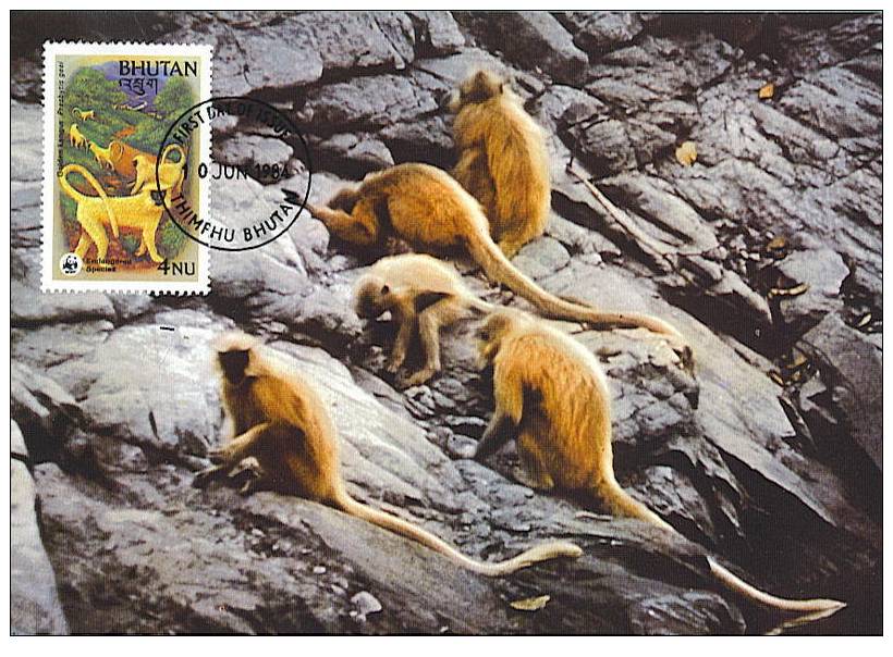 Bouthan : CM Carte Maximum Singe Primate Presbytis Geei Singe D'or Golden Langur Monkey Animal Danger WWF - Monkeys