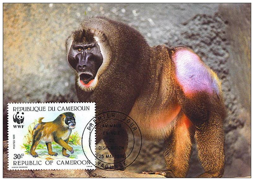 Cameroun : CM Carte Maximum Singe Primate Papio Leucophaeus Drill Mandrill Animal Danger WWF - Apen