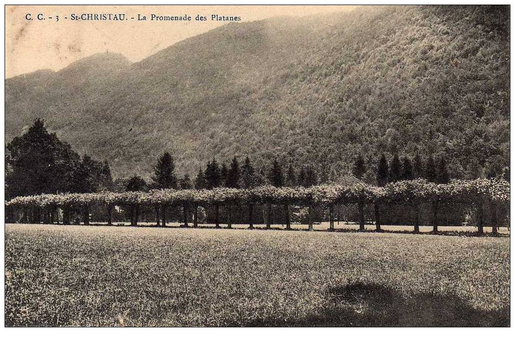 64 ST CHRISTAU Promenade Des Platanes, Ed CC 3, 1909 - Oloron Sainte Marie