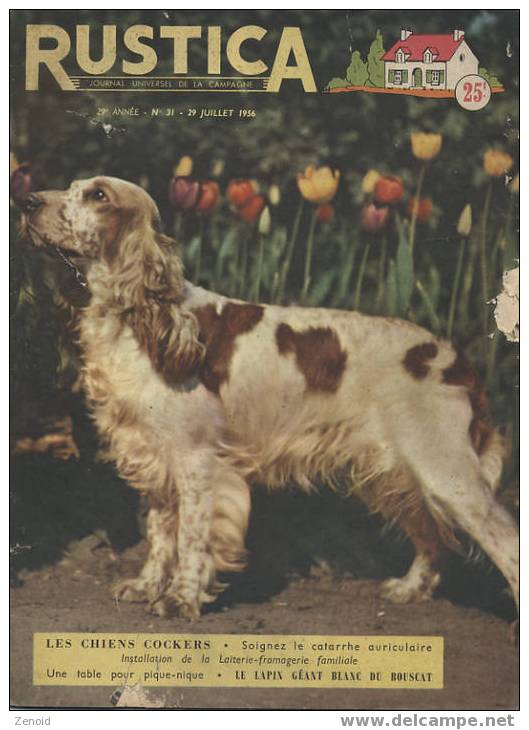 Rustica 29e Année N°31 - 19 Juillet 1956 - Les Chiens Cockers - Dieren