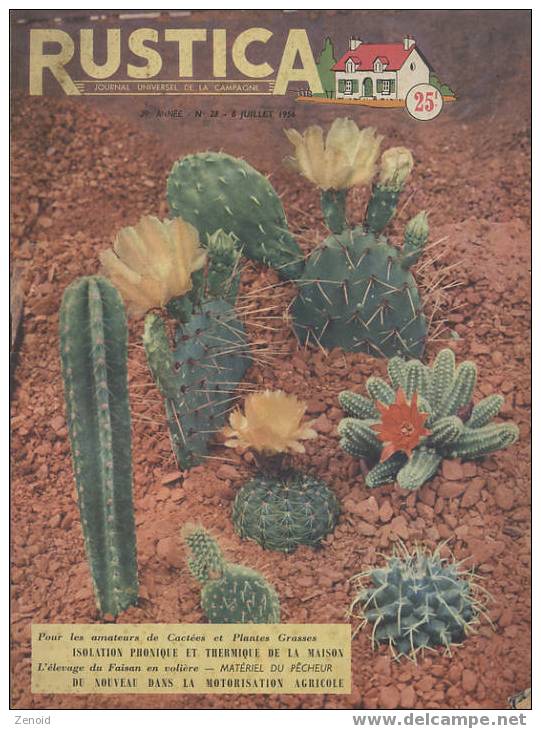 Rustica 29e Année N°28 - 8 Juillet 1956 - Les Cactées Et Plantes Grasses - Garten