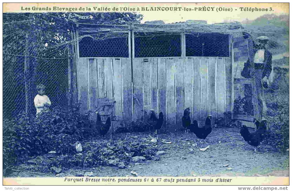 BLAINCOURT-les-PRECY - Parquet Bresse Noire, Pondeuses...... - Précy-sur-Oise