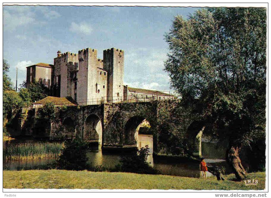 Carte Postale  47.  Le Moulin De Barbaste  Aux Env. De Nérac - Nerac