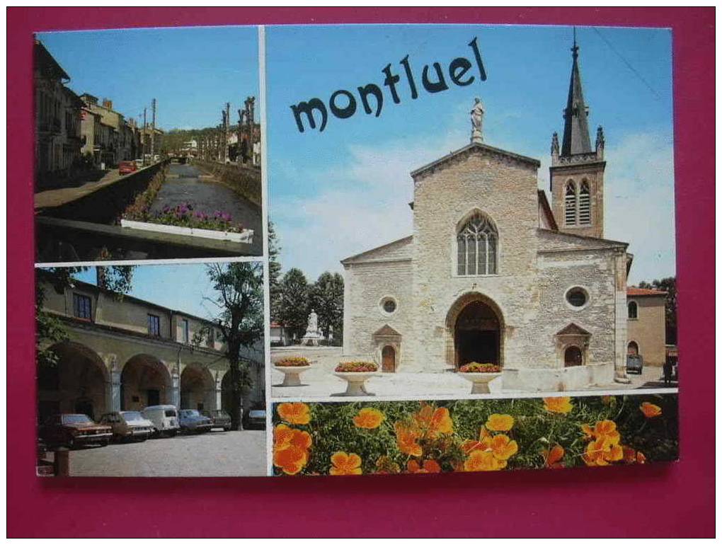 01 MONTLUEL VUES DIVERSES - Montluel