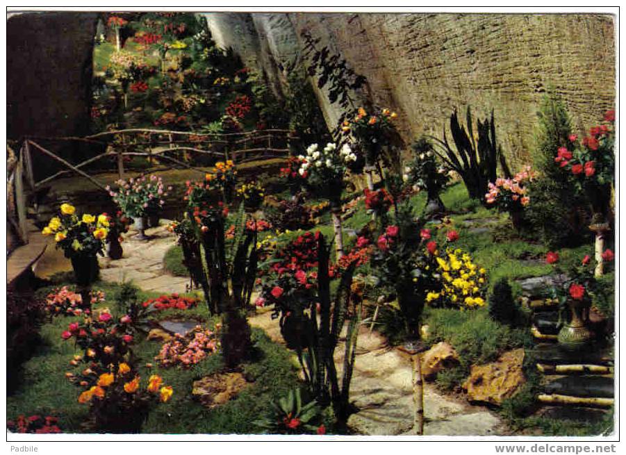 Carte Postale   49.  Doué-la-Fontaine  Cité Des Roses - Doue La Fontaine