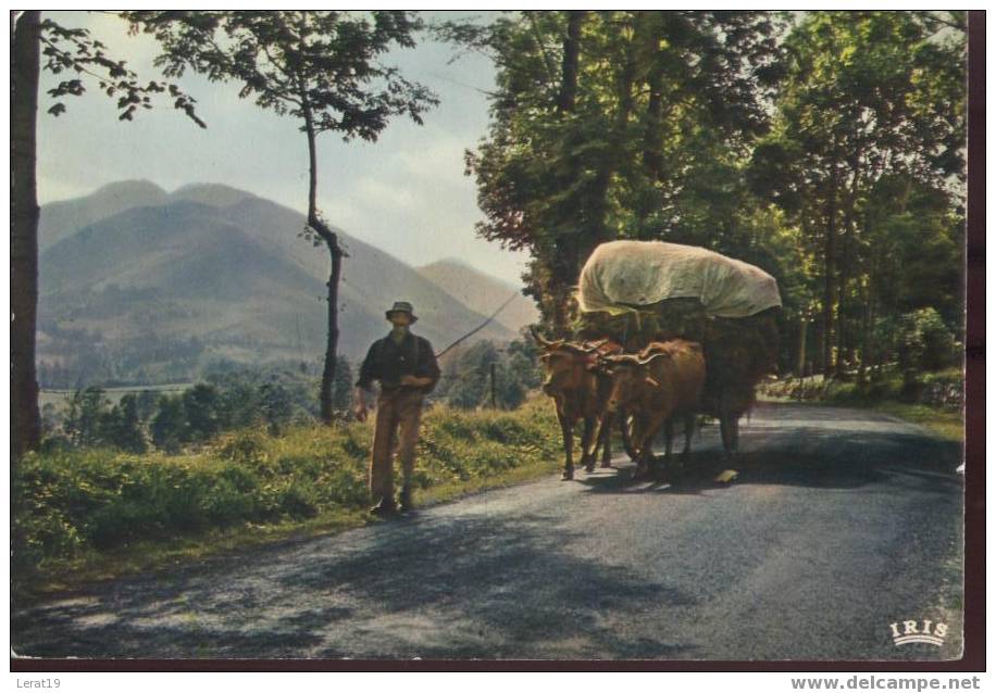 ATTELAGES.. EN PARCOURANT L'AUVERGNE..CPSM...NON. ECRITE. ‹(•¿•)› - Teams