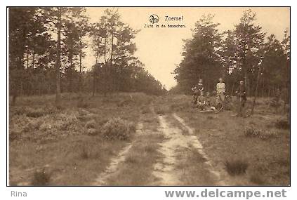 Zoersel-Zicht In De Bosschen -R.Debandt,Photo,Santhoven - Zörsel