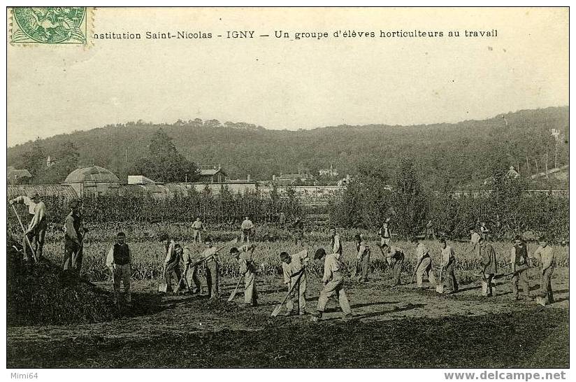 91 .  IGNY .  INSTITUTION SAINT-NICOLAS .  UN GROUPE D'ELEVES HORTICULTEURS AU TRAVAIL . - Igny