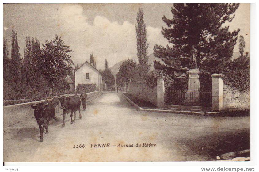 CPA De Yenne ( Savoie 73): Avenue Du Rhône. (Boeufs) - Yenne