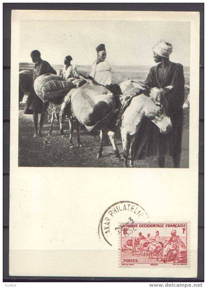 Sénégal - Carte Maximun / Transport D'arachide à Dos D'ânes - Storia Postale